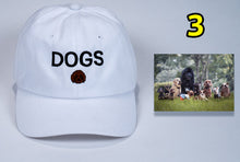 Load image into Gallery viewer, Dog Birthday Baseball Cap for Dog lovers +card and FREE SHIPPING